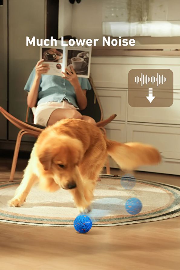 Vakkorama8 Vakkorama8