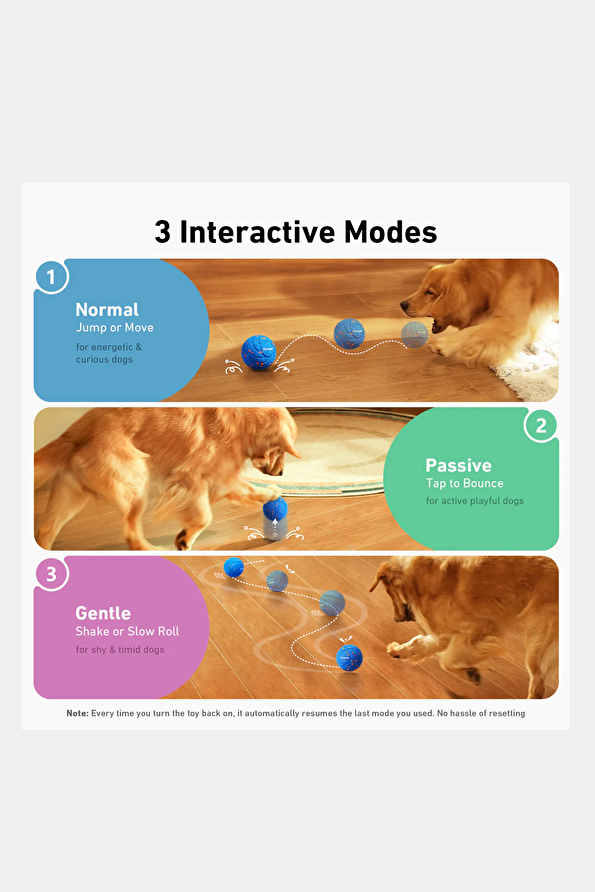 Vakkorama5 Vakkorama5