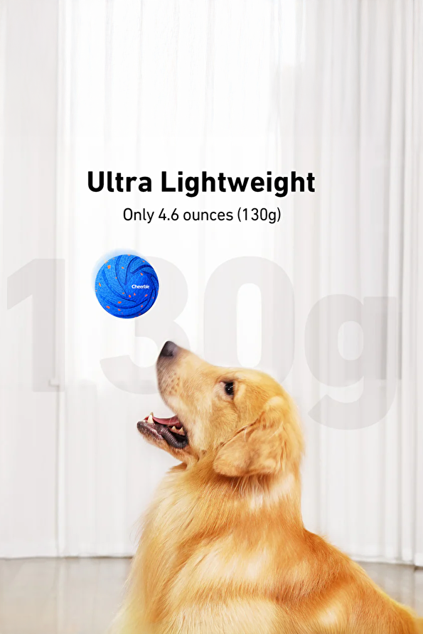 Vakkorama6 Vakkorama6