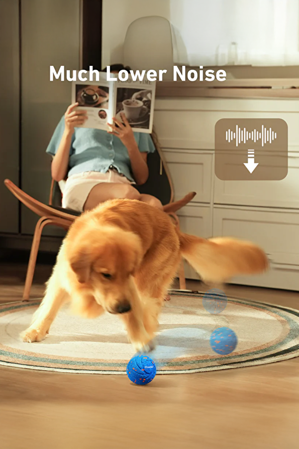 Vakkorama8 Vakkorama8