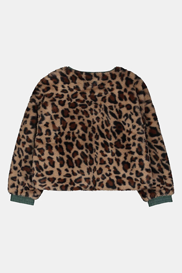 Vakkorama2 Vakkorama2