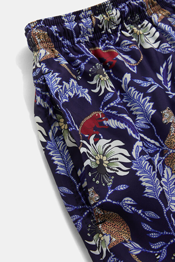 Vakkorama4 Vakkorama4