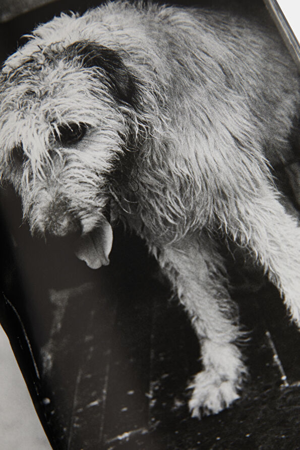 Vakkorama6 Vakkorama6