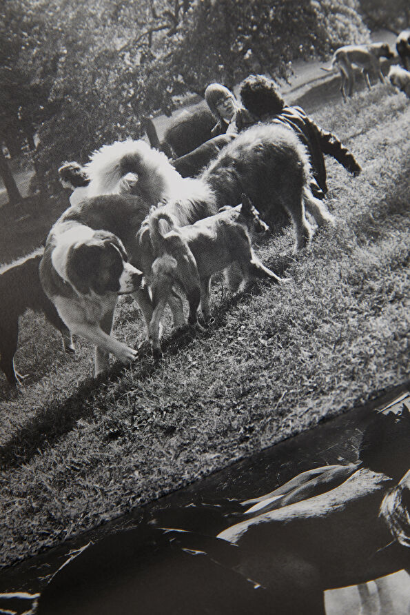 Vakkorama10 Vakkorama10