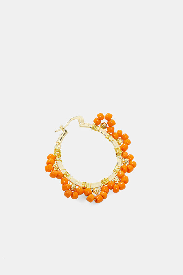 Vakkorama2 Vakkorama2