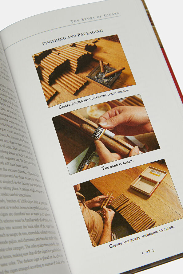 Vakkorama6 Vakkorama6