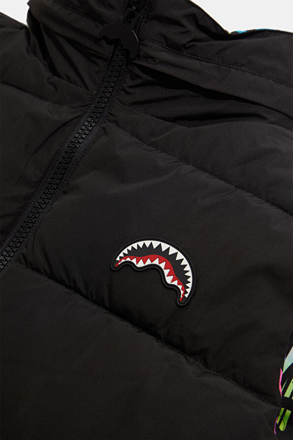 Vakkorama8 Vakkorama8