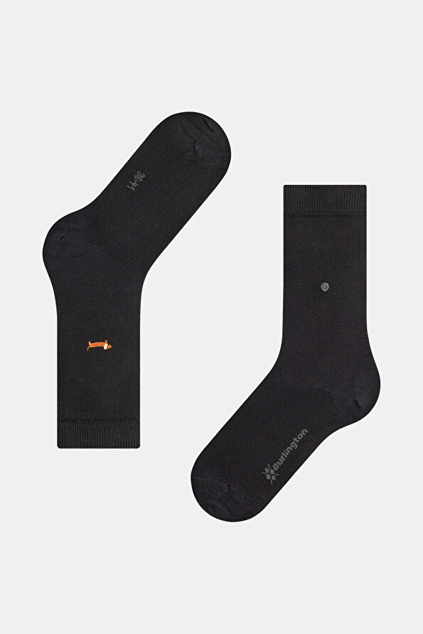 Vakkorama3 Vakkorama3