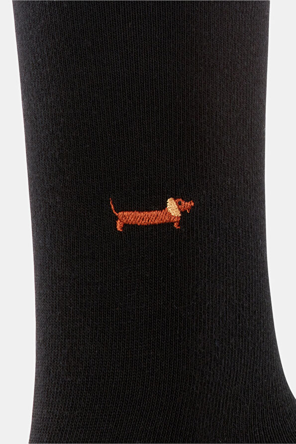 Vakkorama4 Vakkorama4