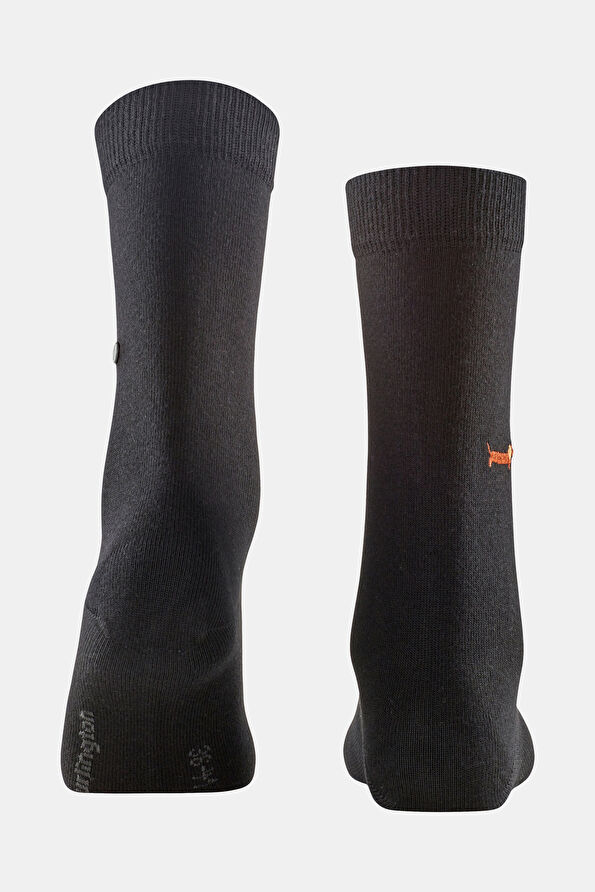 Vakkorama5 Vakkorama5