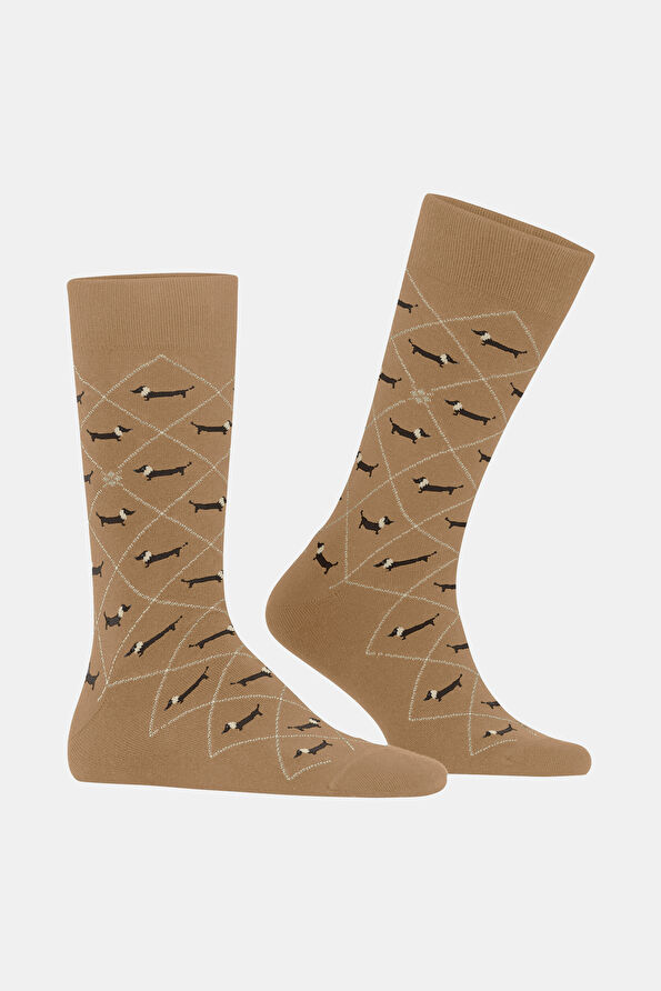 Vakkorama2 Vakkorama2