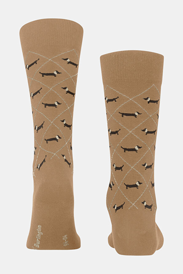 Vakkorama3 Vakkorama3