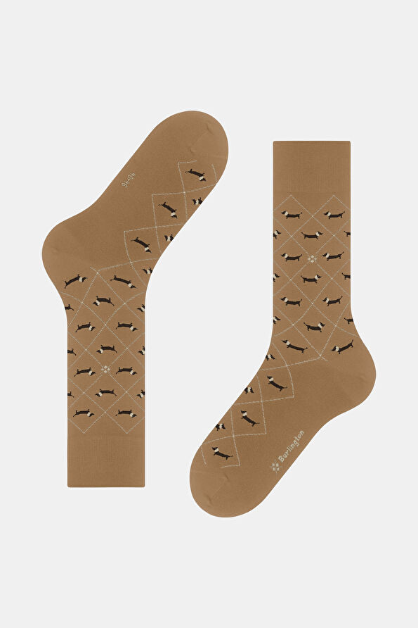 Vakkorama4 Vakkorama4