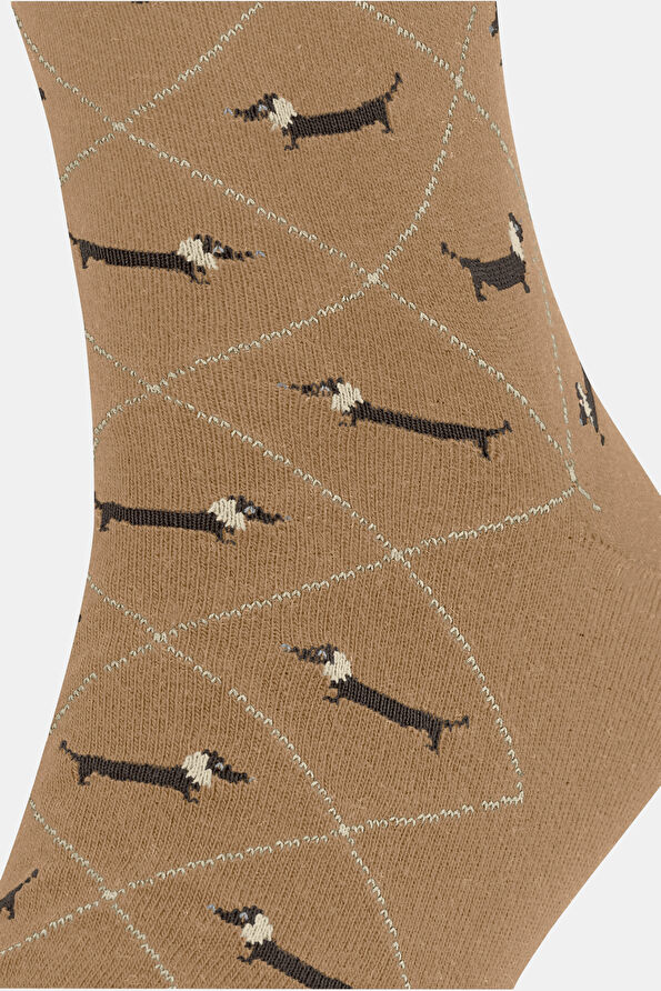 Vakkorama5 Vakkorama5