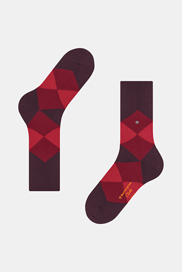 Vakkorama2 Vakkorama2