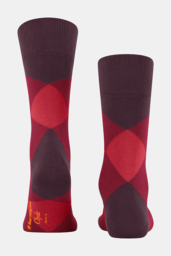 Vakkorama3 Vakkorama3