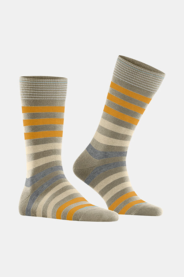 Vakkorama2 Vakkorama2