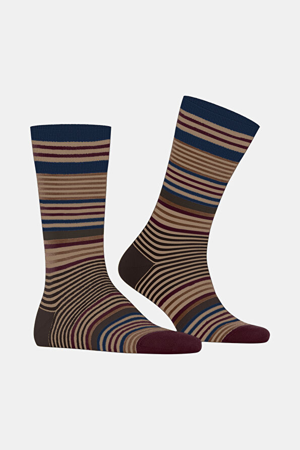 Vakkorama2 Vakkorama2