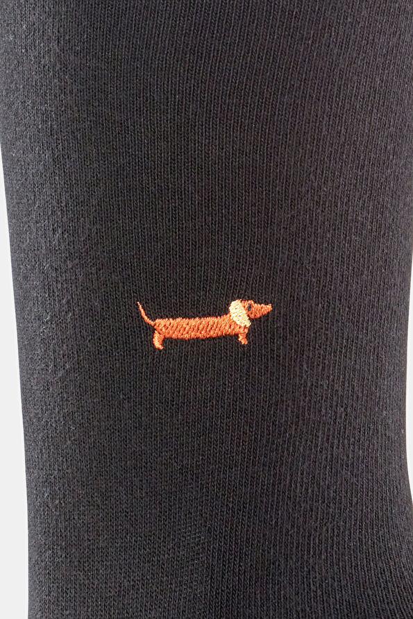 Vakkorama6 Vakkorama6