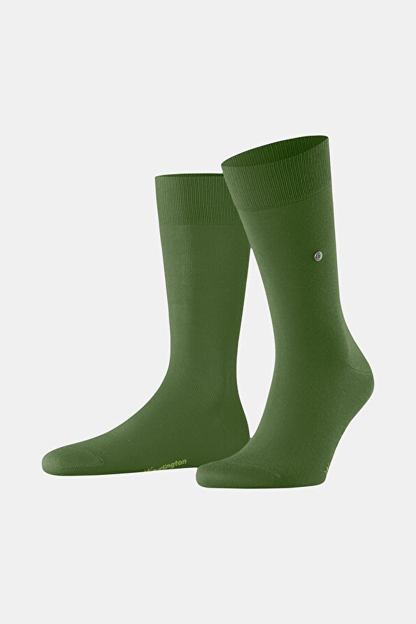 Vakkorama1 Vakkorama1