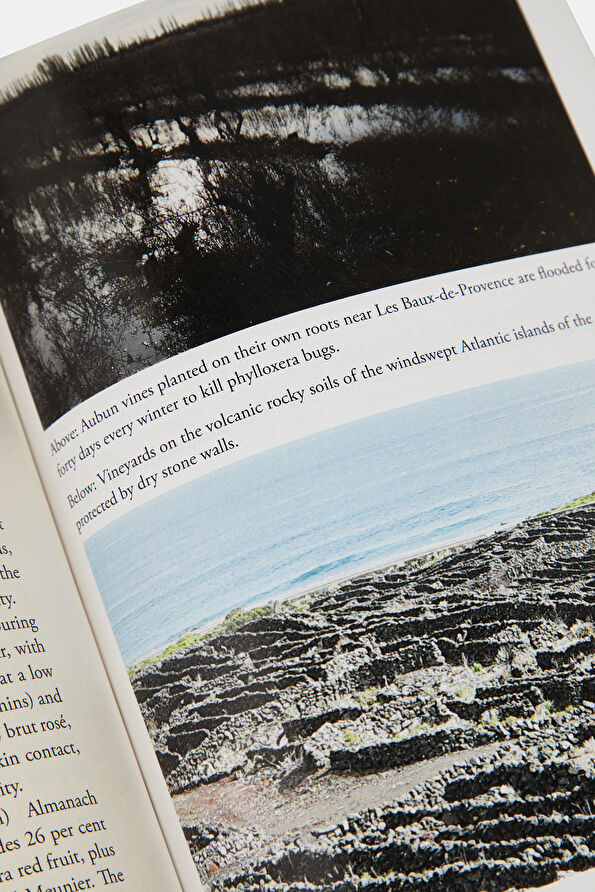 Vakkorama10 Vakkorama10