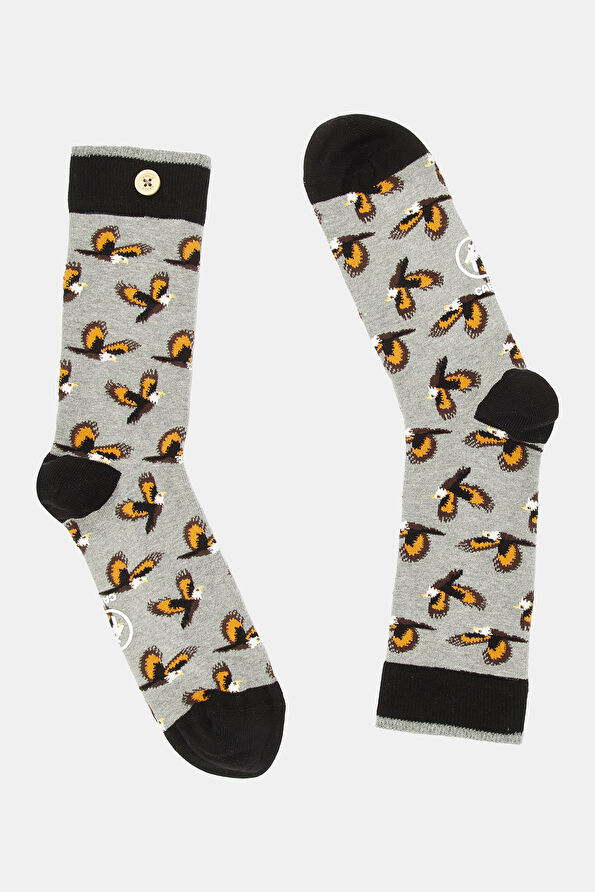 Vakkorama2 Vakkorama2