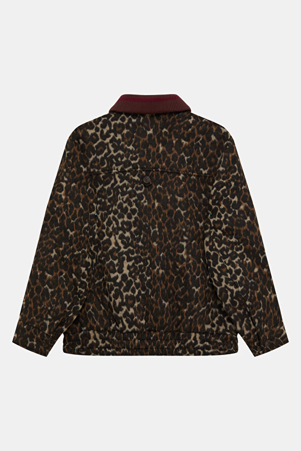 Vakkorama2 Vakkorama2