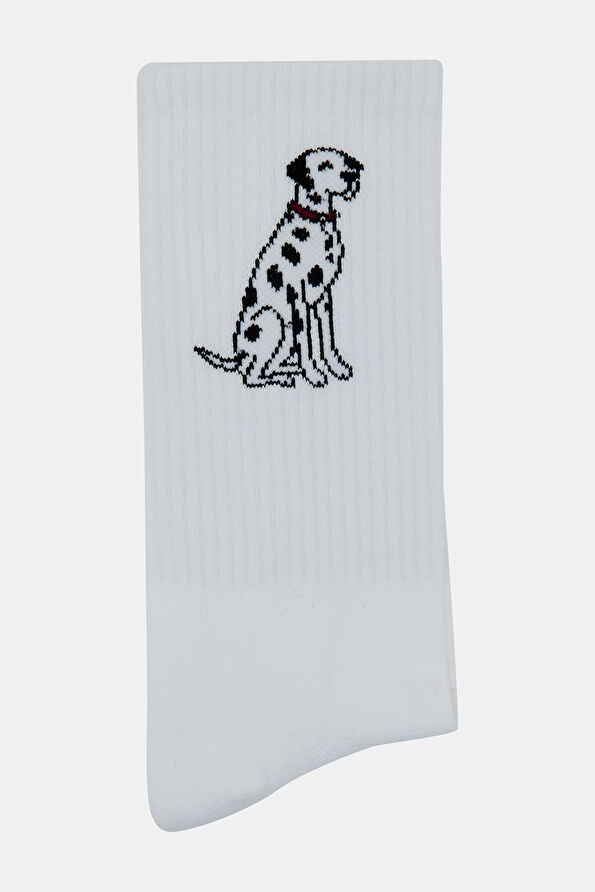 Vakkorama1 Vakkorama1