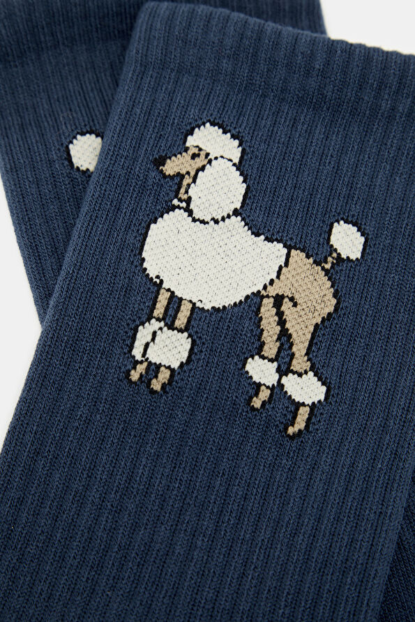 Vakkorama3 Vakkorama3