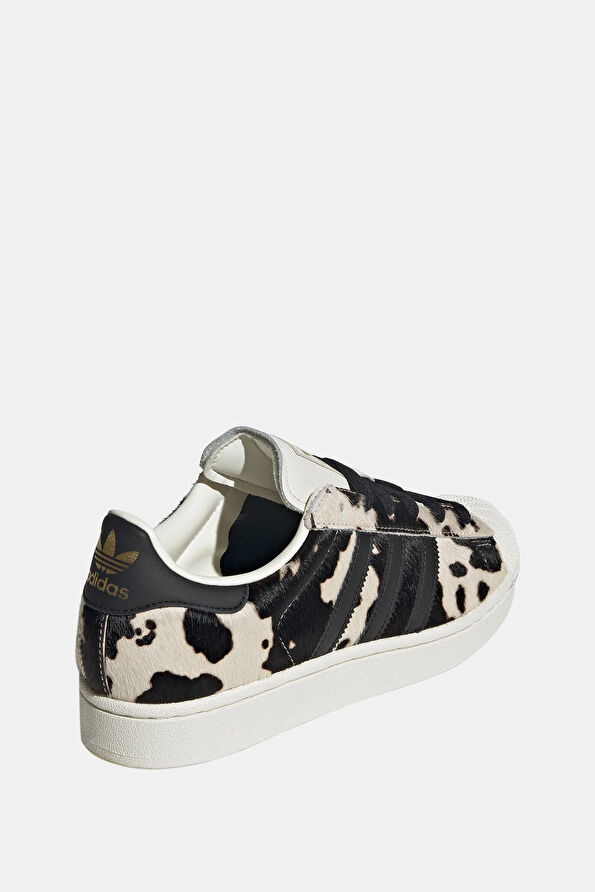 Vakkorama4 Vakkorama4