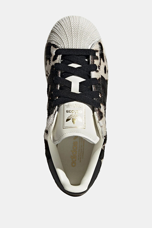 Vakkorama5 Vakkorama5