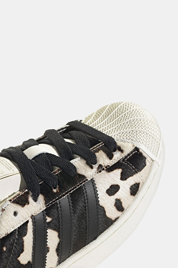 Vakkorama8 Vakkorama8