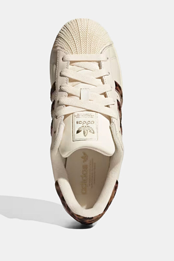 Vakkorama5 Vakkorama5