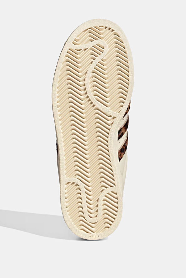 Vakkorama6 Vakkorama6