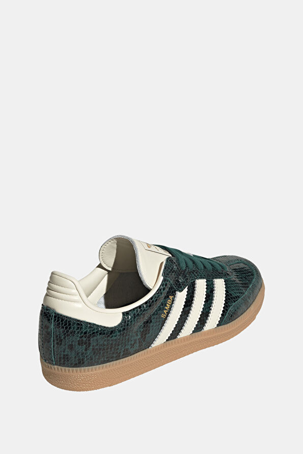 Vakkorama4 Vakkorama4