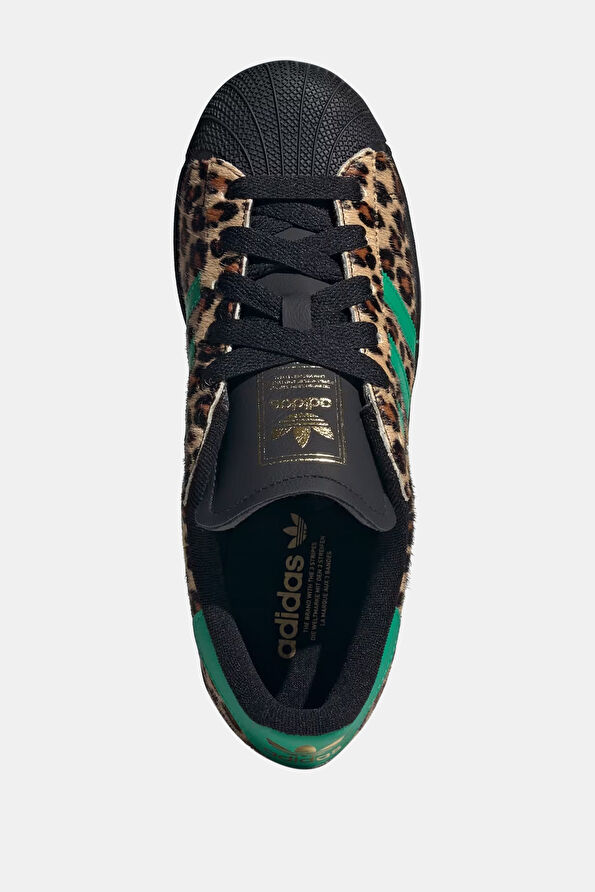 Vakkorama5 Vakkorama5