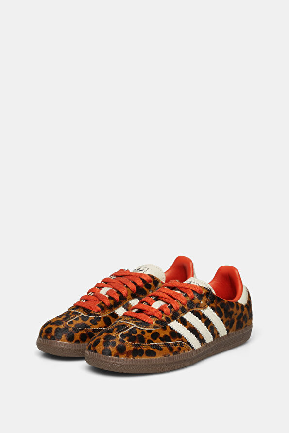 Vakkorama2 Vakkorama2