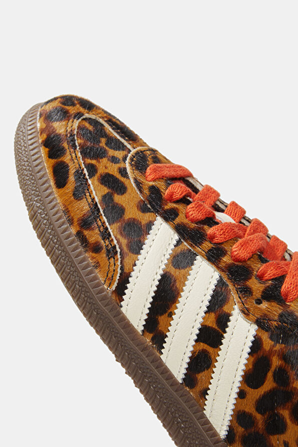 Vakkorama4 Vakkorama4