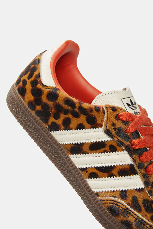 Vakkorama5 Vakkorama5