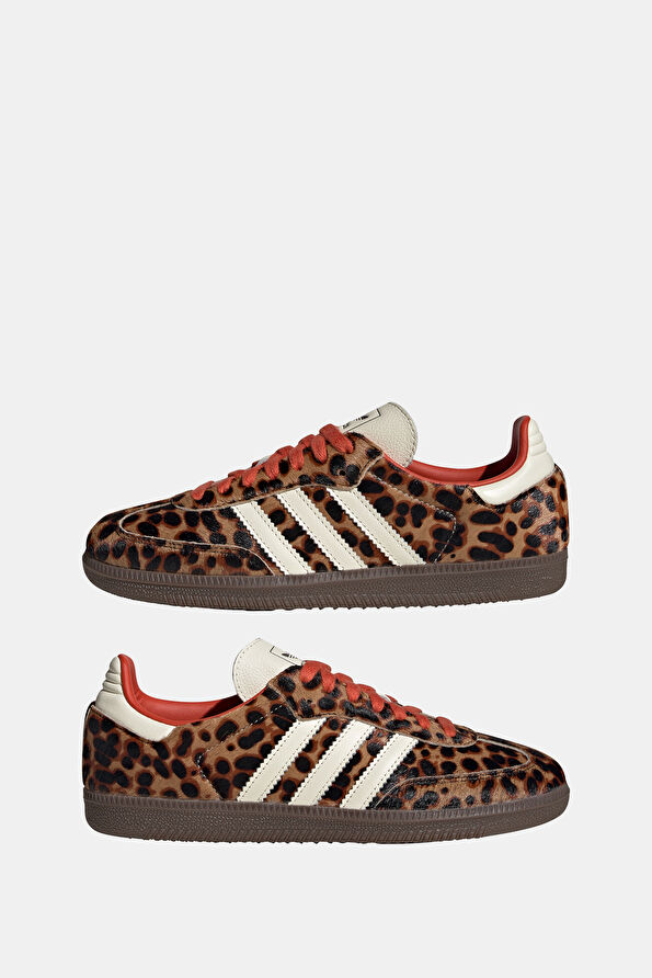 Vakkorama6 Vakkorama6