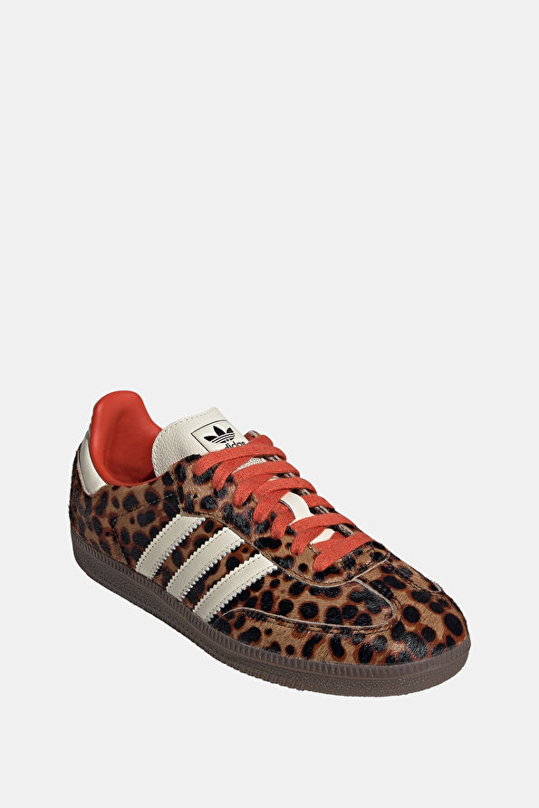 Vakkorama8 Vakkorama8