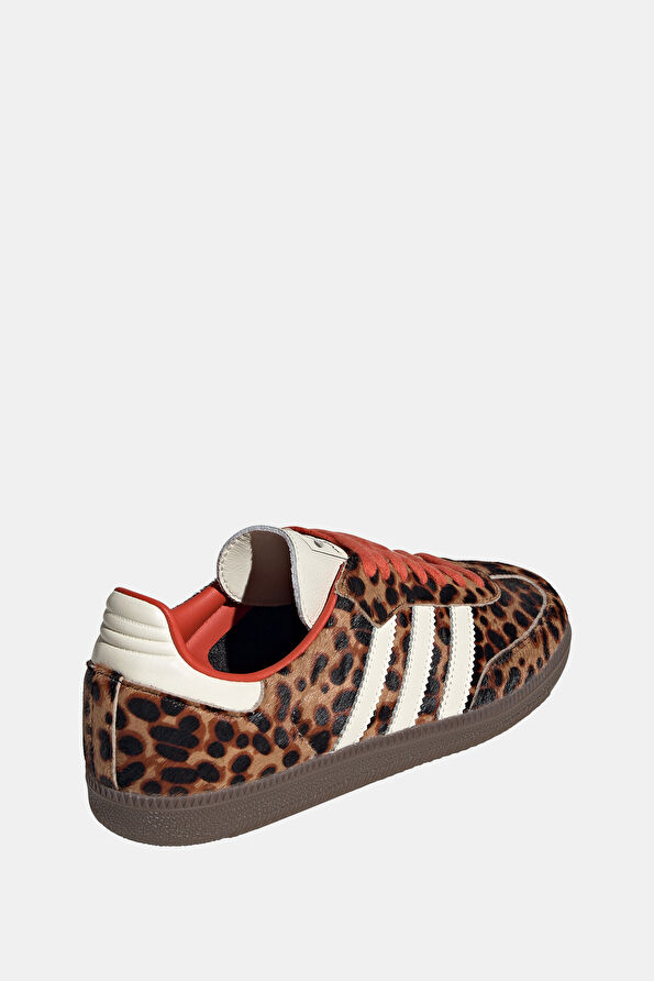 Vakkorama9 Vakkorama9