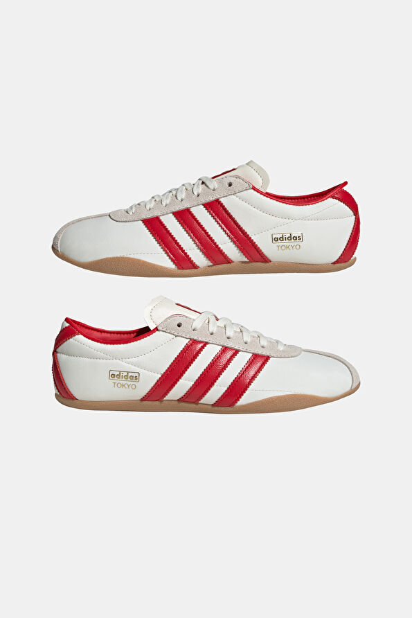 Vakkorama7 Vakkorama7