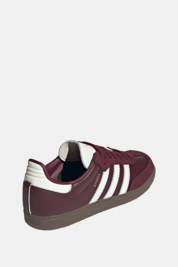 Vakkorama4 Vakkorama4