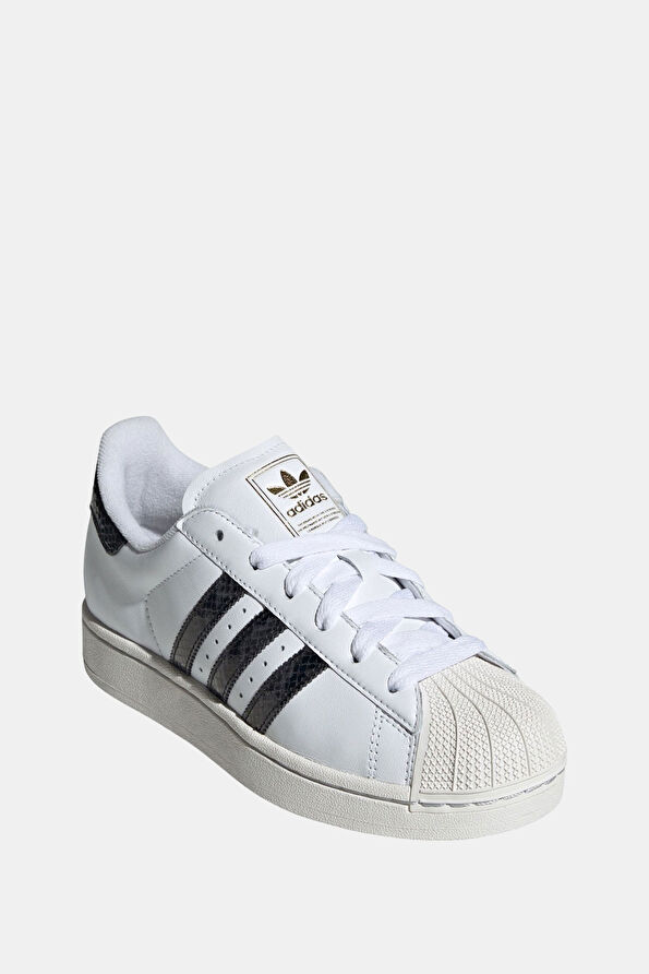 Vakkorama2 Vakkorama2