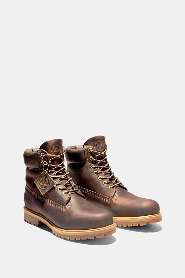 Vakkorama3 Vakkorama3