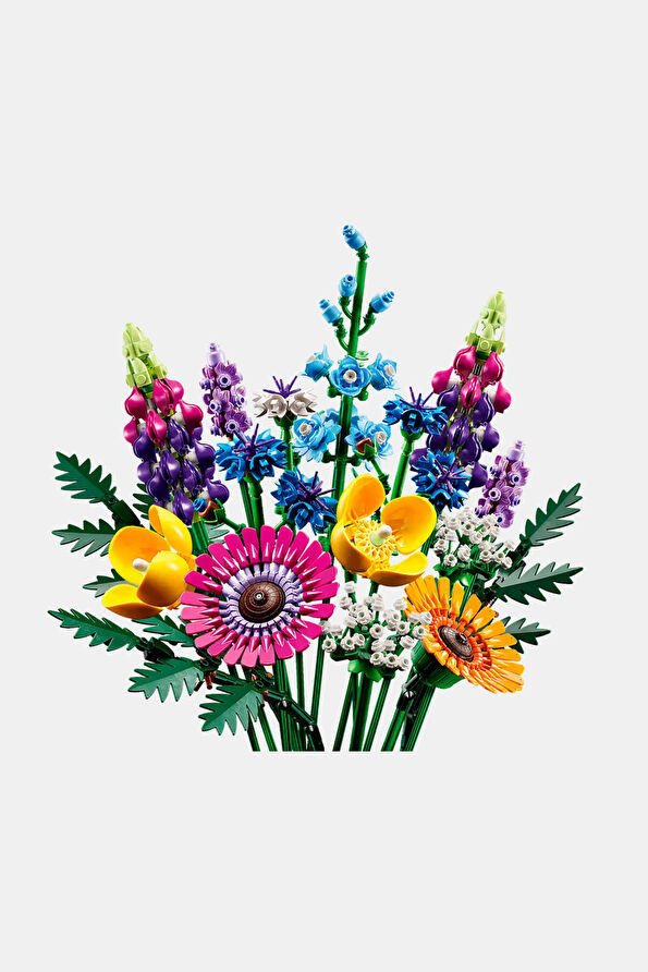 Vakkorama1 Vakkorama1