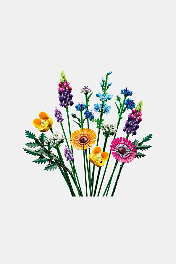 Vakkorama6 Vakkorama6