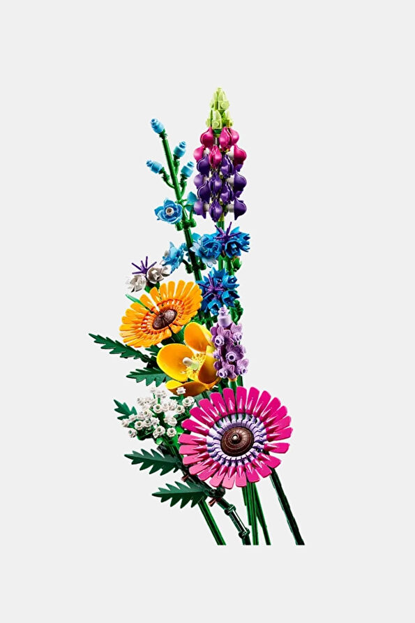 Vakkorama8 Vakkorama8