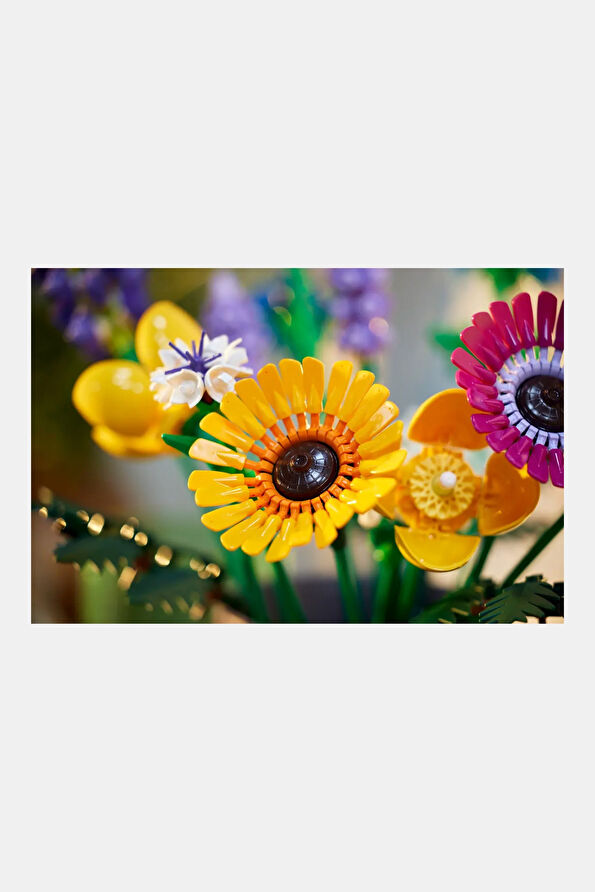 Vakkorama12 Vakkorama12